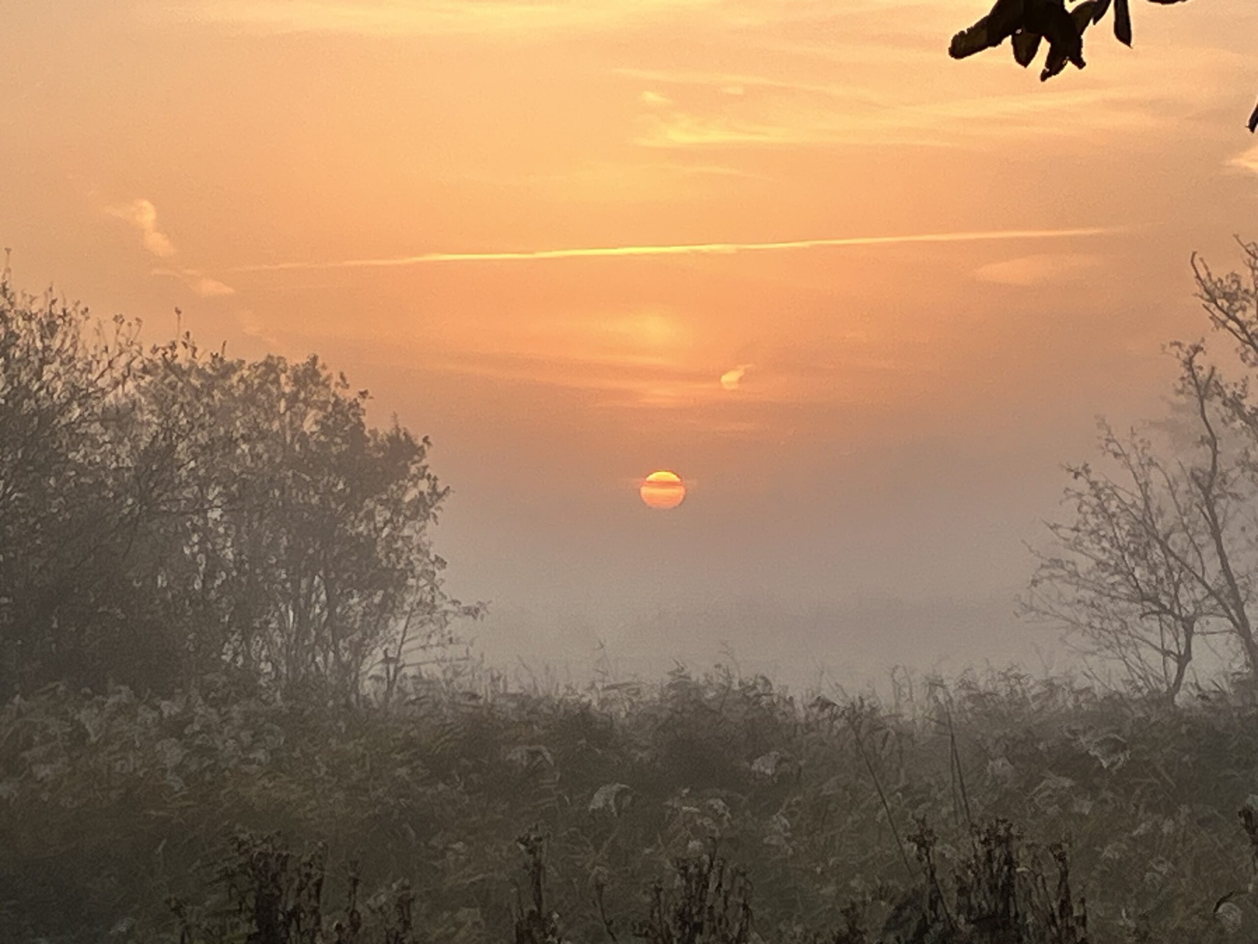 Stilte in de ochtend